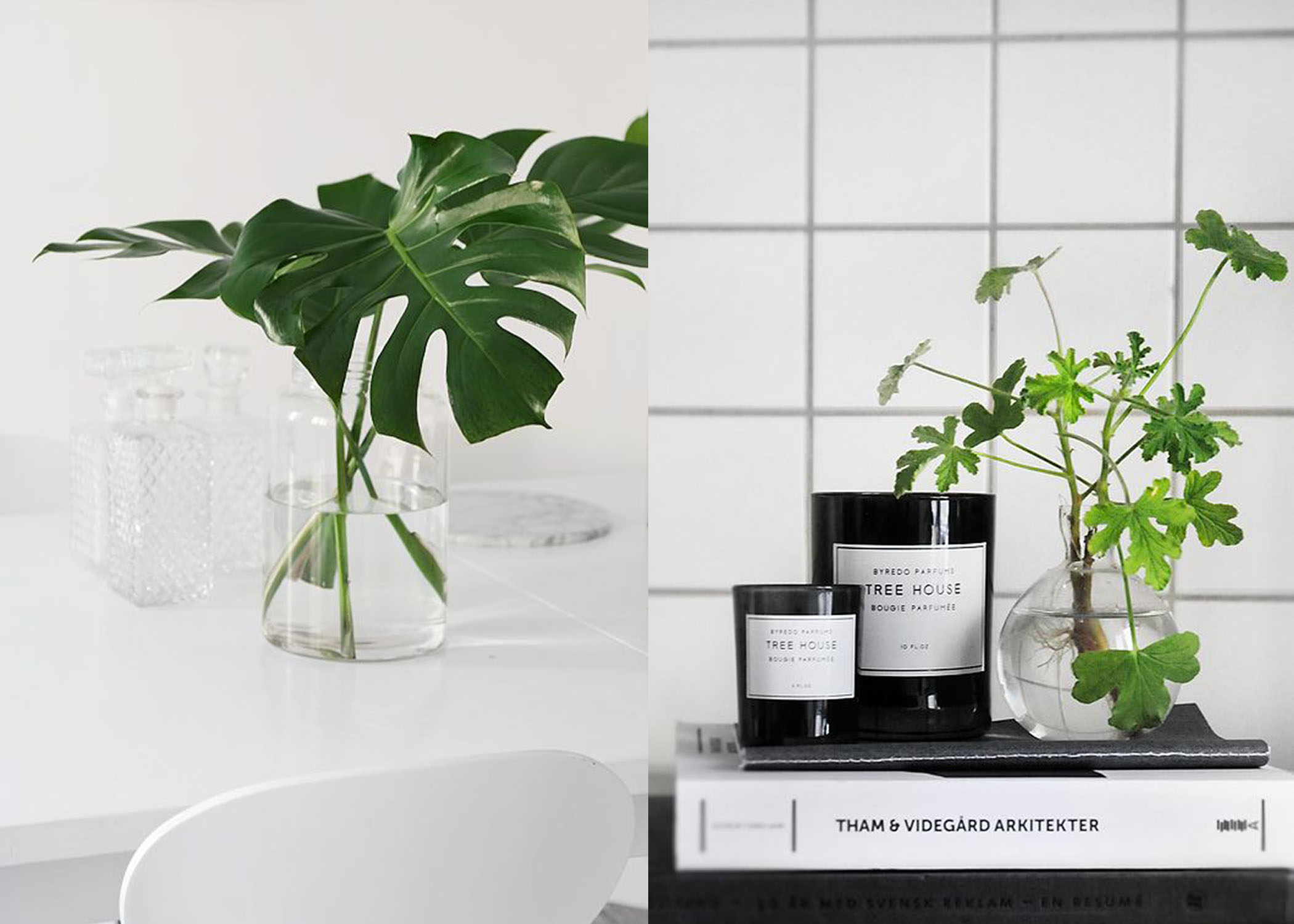 Want to be more productive at work?  Buy some desk plants! blog post hero