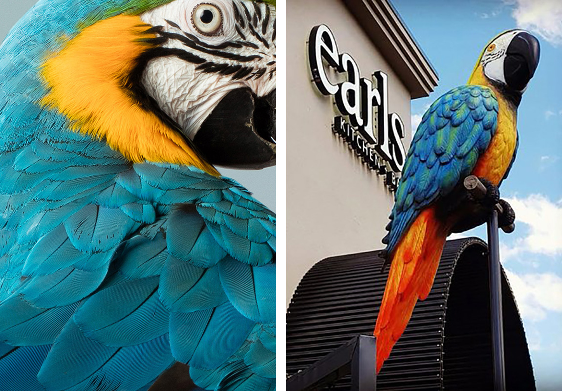 Earls Blue Feathre Parrot Example branding