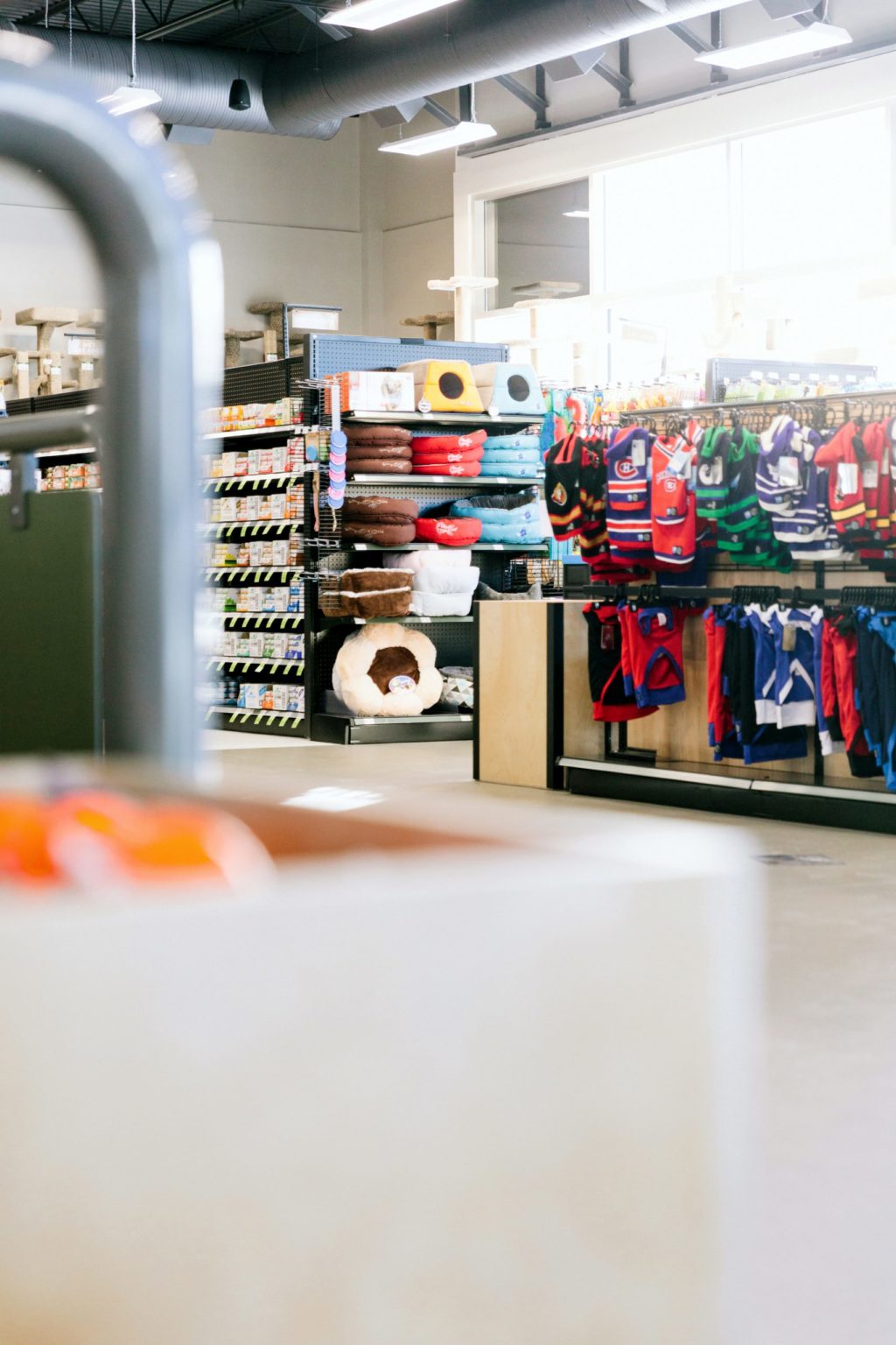 Homes Alive Pets Edmonton by Cutler Design & Architecture