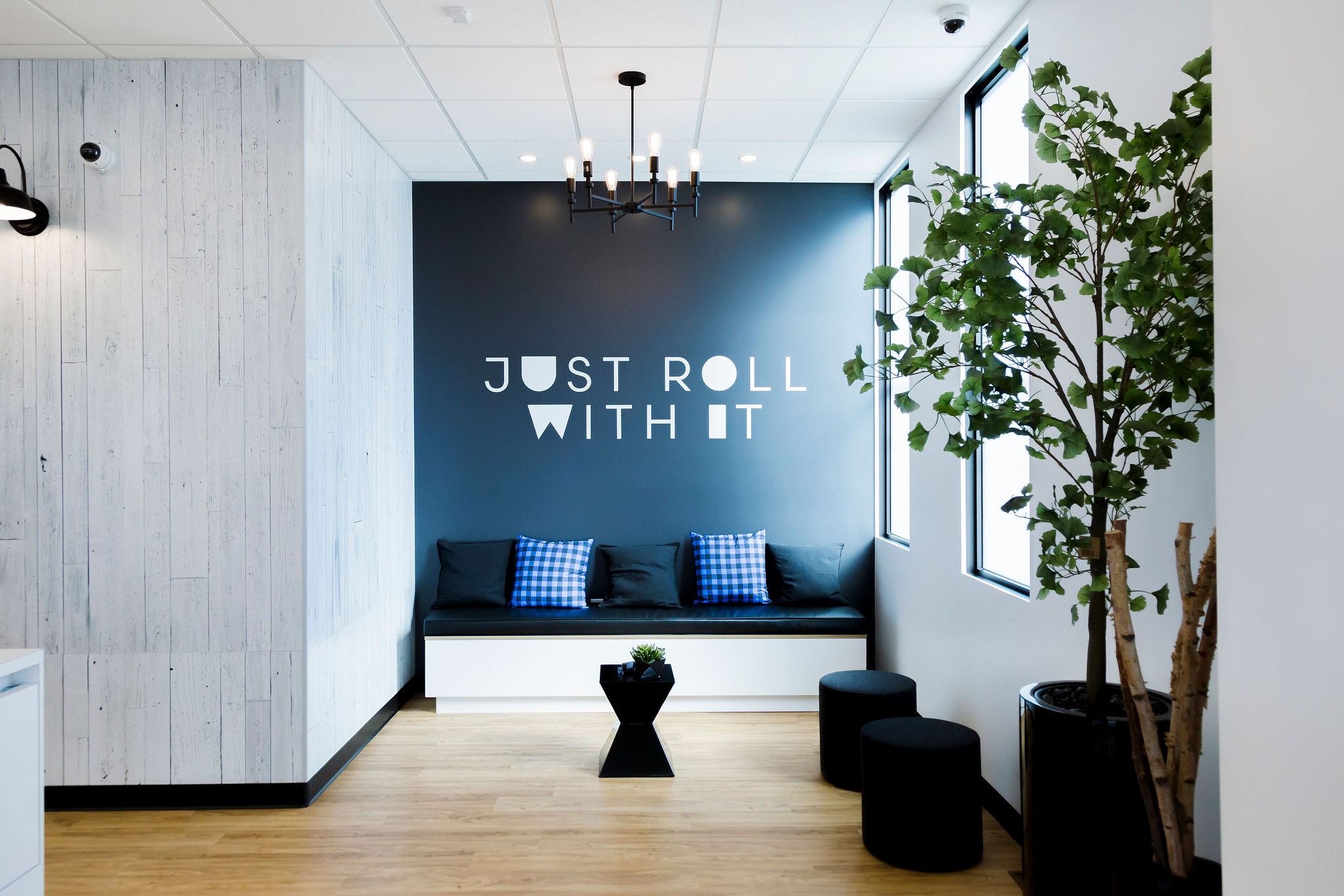 Kiaro Cannabis store interior showing branded messaging on wall, plants, and entry way