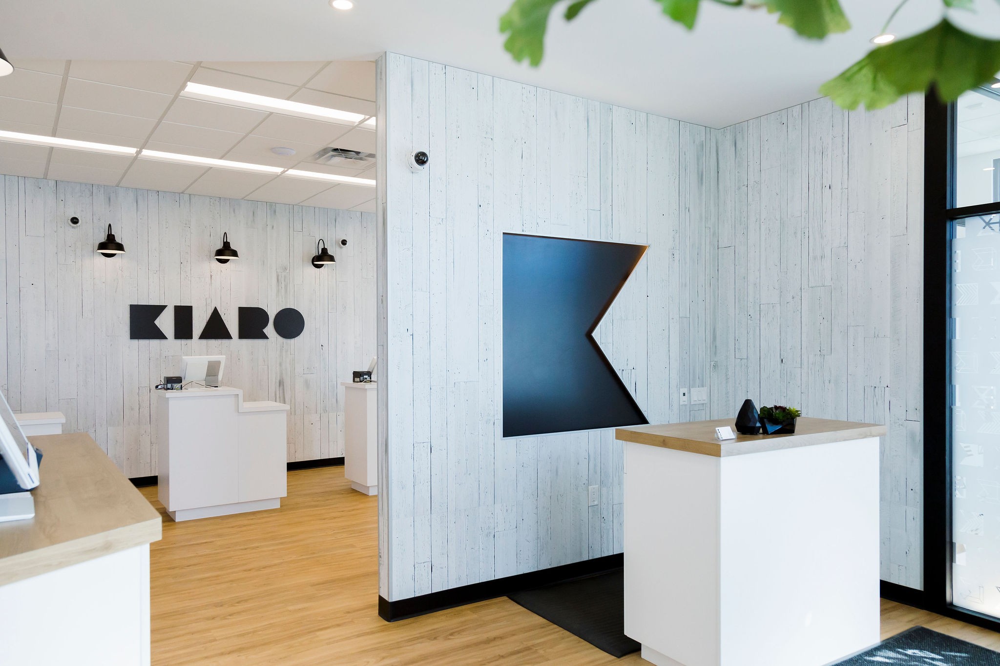 Interior of cannabis store showing checkout desk, brand logo on wall, product display units, and bright interior lighting