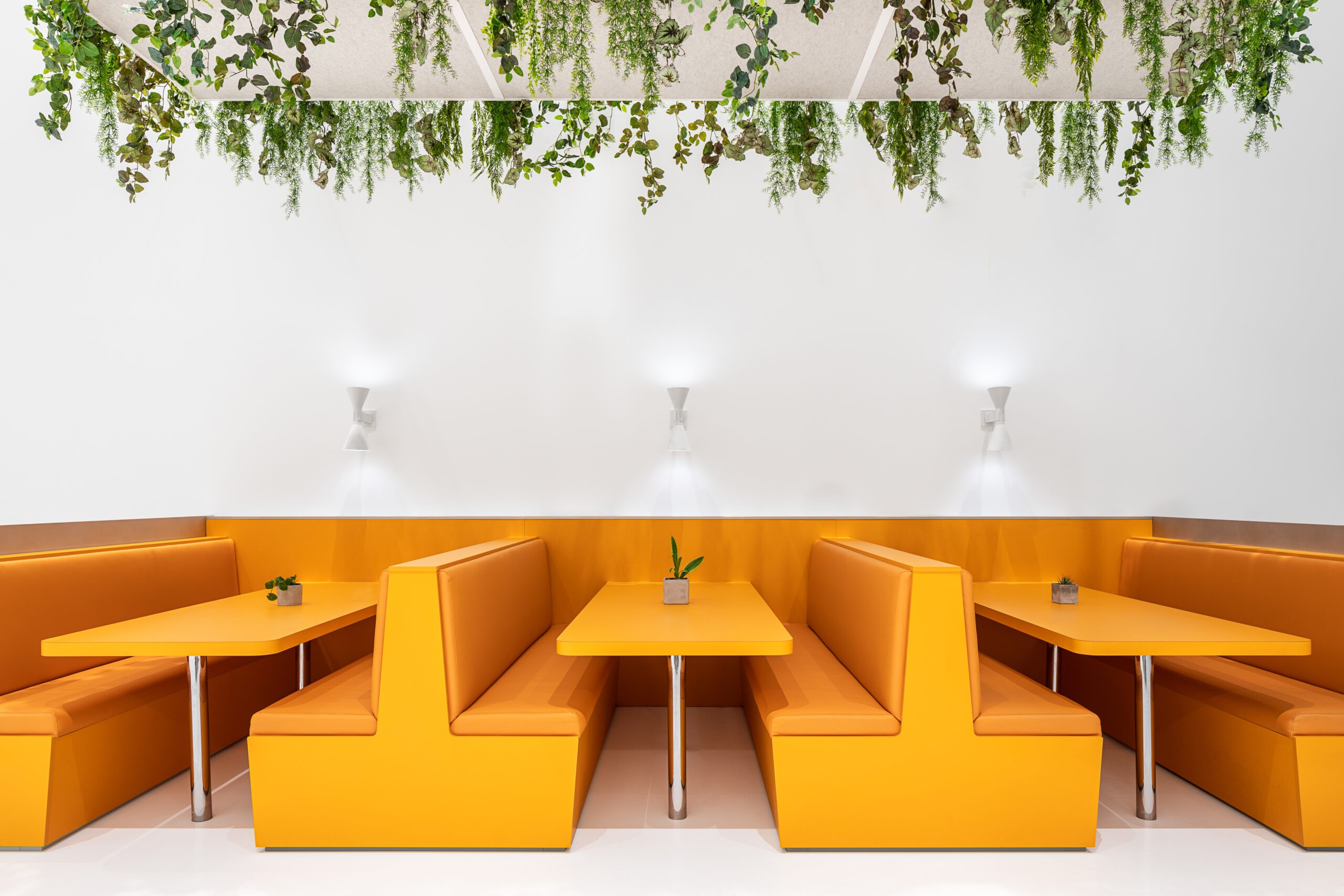 Corporate cafeteria design at Keirton headquarters in Surrey BC, with bright orange seating, white walls, and overhanging plants