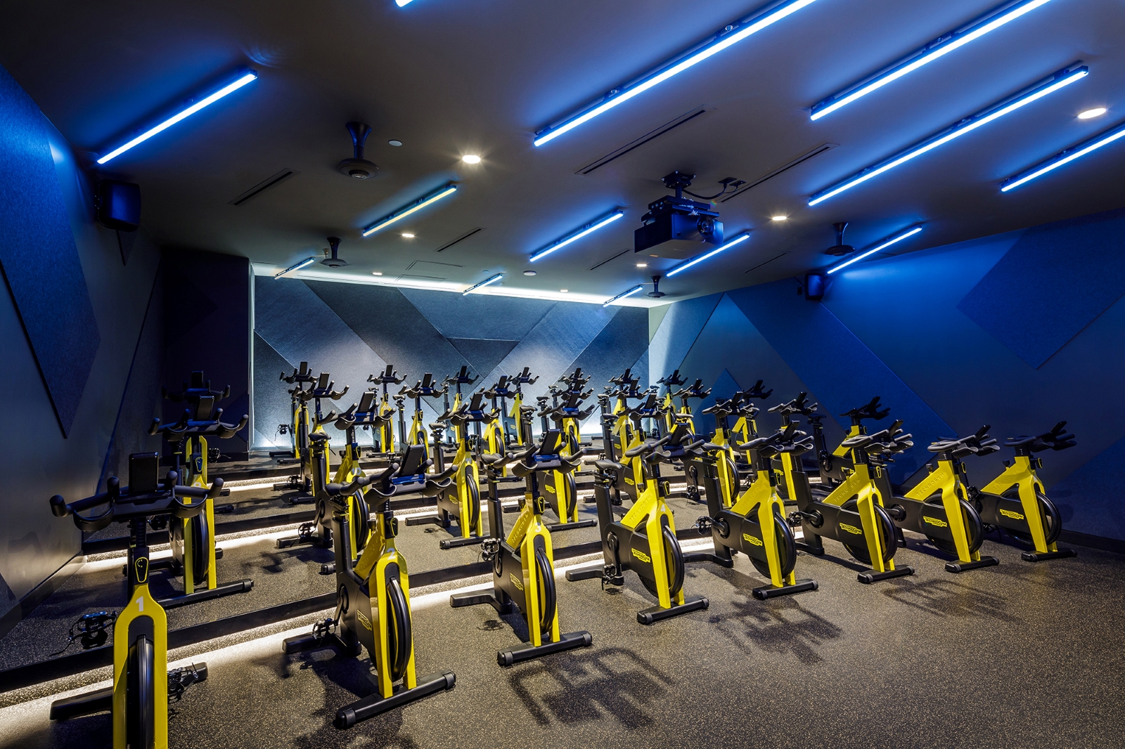 Gym, , Altea Active in Vancouver BC, by Cutler