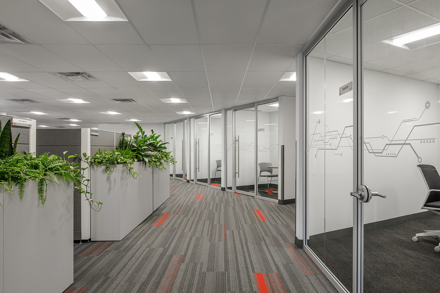 Run of enclosed glazed meeting rooms with solid doors along a planted circulation route at Fortinet's Burnaby office